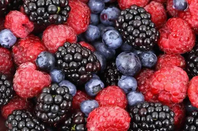 When should red berries or woodland berries be planted?