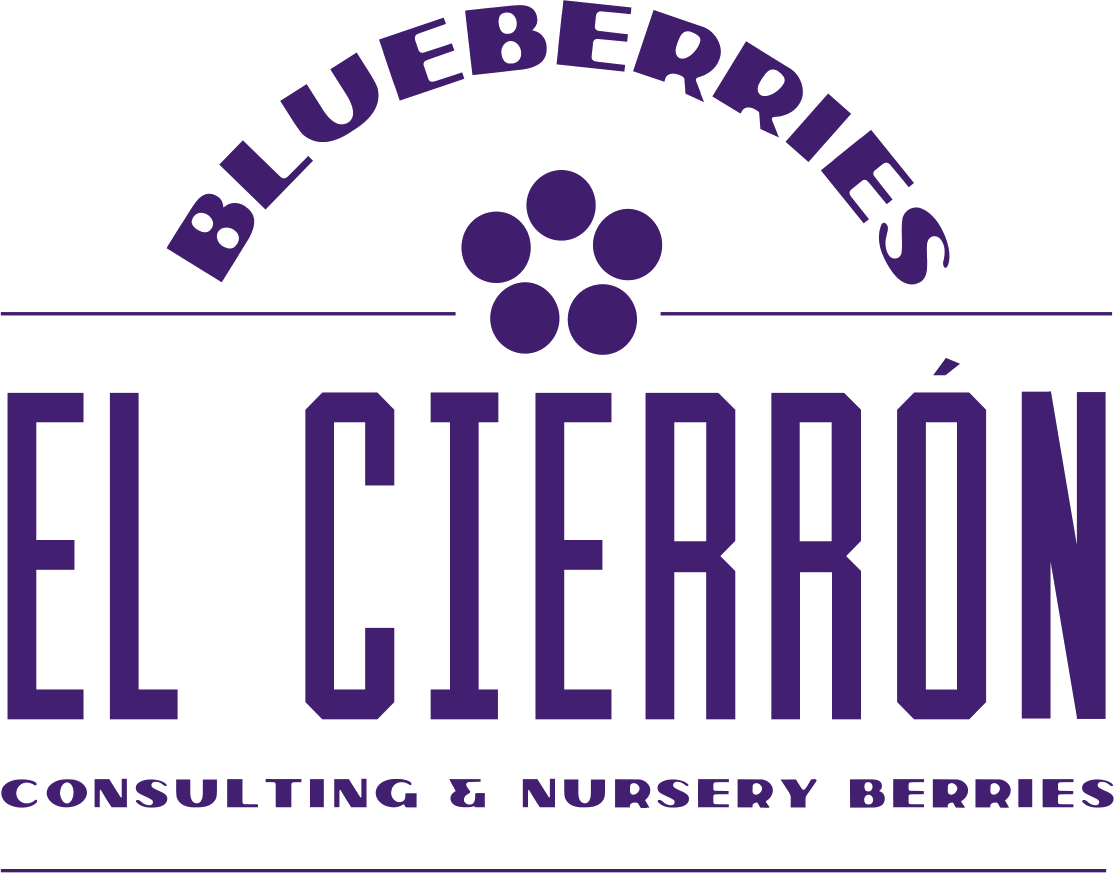 Nursery Berries