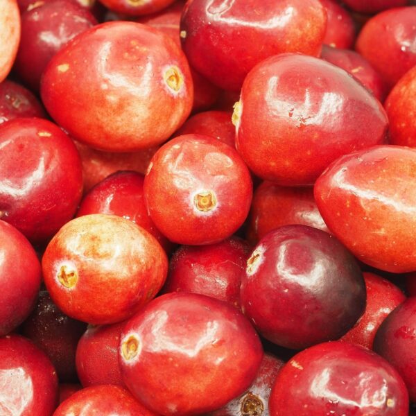 Cranberry