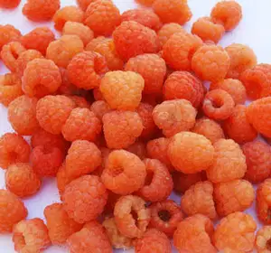 Raspberry Peach