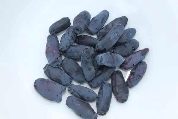 Siberian Blueberry Honeysuckle