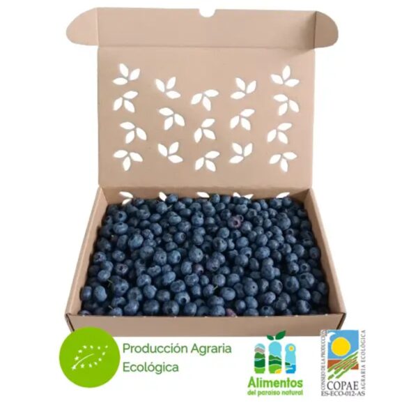 Fresh Organic Blueberries