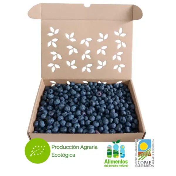 Fresh Organic Blueberries